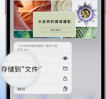 曲阜apple维修中心分享iPhone文件应用中存储和找到下载文件