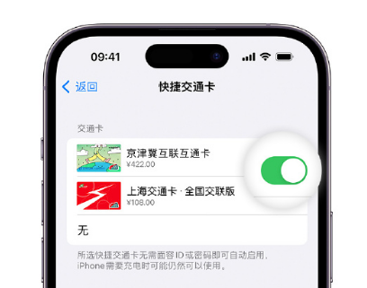 曲阜apple维修点分享iPhone上更换Apple Pay快捷交通卡手绘卡面 