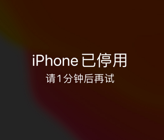 曲阜苹果手机维修分享:iPhone 显示“不可用”或“已停用”怎么办？还能保留数据吗？ 