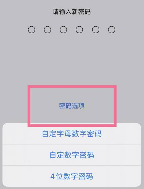 曲阜苹果14维修分享iPhone 14plus设置密码的方法 