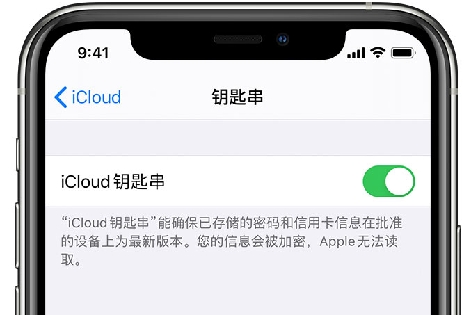 曲阜苹果手机维修分享在 iPhone 上开启 iCloud 钥匙串之后会储存哪些信息 